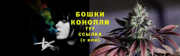 PSILOCYBIN Алзамай