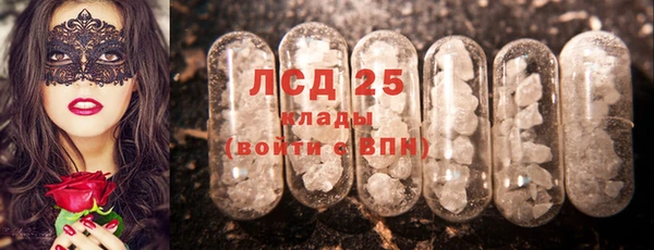 стаф Алексин
