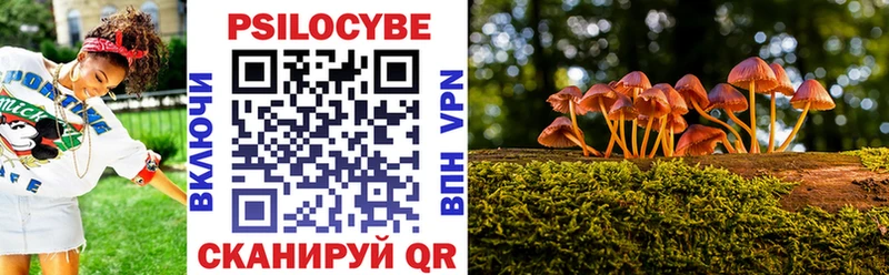МЕГА как войти  Нестеров  Галлюциногенные грибы мицелий 